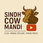 Hire Sindh Cow Mandi — Travel & Adventure YouTube creator for sponsorships
