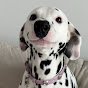 Plumley.funnypets