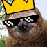 onsCk60Fzc0-channel-avatar-King Sloth