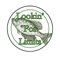 Lookin for Limits