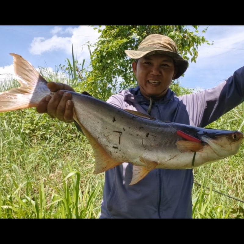 CÂU CÁ THIÊN NHIÊN  TV