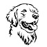 drTGtUYUar8-channel-avatar-Eagleridge Goldens Training