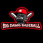 Antonio Evans - @bigdawgbaseballacademy - Youtube