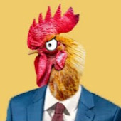 BBX2X2 VODS