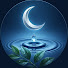 Bu4NCl_ysBQ-channel-avatar-Peaceful Rain Night