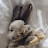 @borakim1226