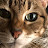 Photo of @bestlifenavigator1709