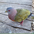 1J72KUJpX0g-channel-avatar-Bird On Top