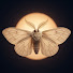 9UKg8l9iZfM-channel-avatar-Hushlight