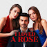 QQCu0GY-0zg-channel-avatar-Roses | Aşk Yarası Turkish Drama Series