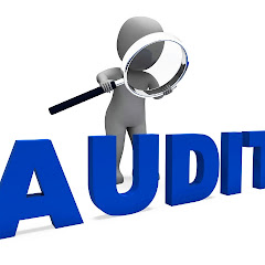 Audit 2.0 Avatar
