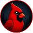 QT4iW2PuVjI-channel-avatar-The Bird Vault 