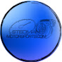 Stedman Motorsports logo