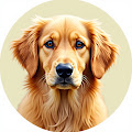 lovely dog