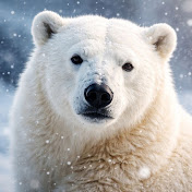 Arctic Animal Rescue