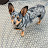 @Bearlee13-p8u Avatar