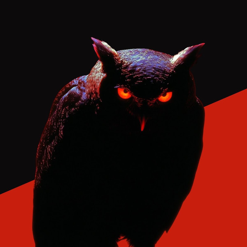 NOCYTRA