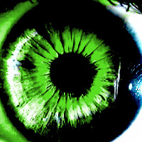 VideoMania2 profile image