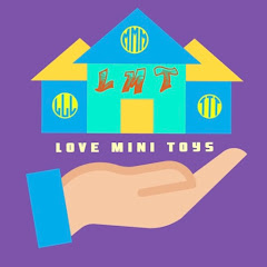 Love Mini Toys net worth