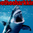 usjjVb2UHyc-channel-avatar-Brucethesharkking
