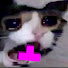 tickkDTl-Tw-channel-avatar-JayKob