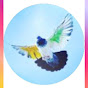Pak Birds Gallery logo