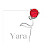 @Yara-171