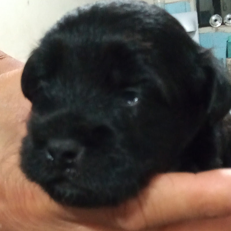 Xerox Venancio (Gelza & Jarbas)