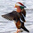 @billmeyer4773 Avatar
