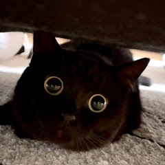 おはぎさんに癒されたい ♨︎