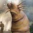_I9j34-AGh0-channel-avatar-Star Wars Lore