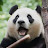 @MiLee-oi5ww
