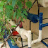 Jc6graqrDiQ-channel-avatar-KRISHNA HYDRO GARDEN AND AQUACULTURE