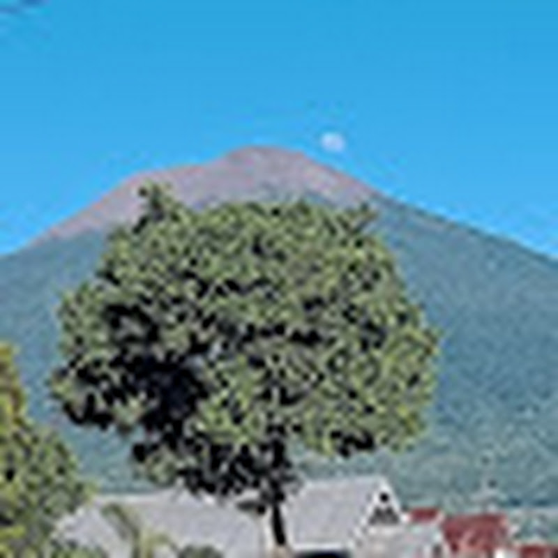 Hire Lare pisangbali — TV Show Reviews & Recaps YouTube creator for sponsorships