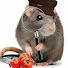 4Smt-9CW44E-channel-avatar-Rat Mcfisherson