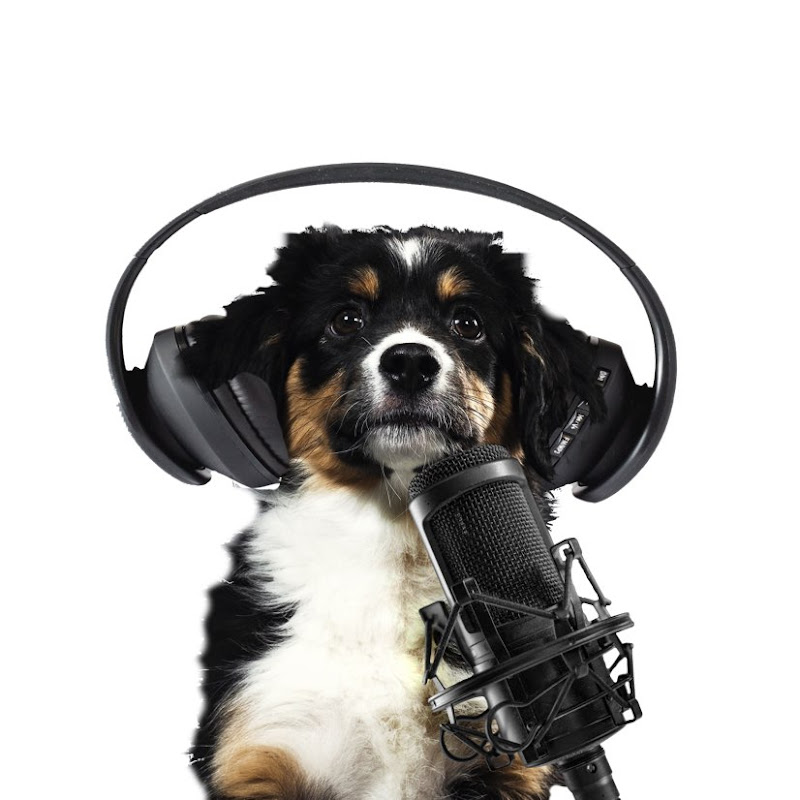 Budget Bros Podcast