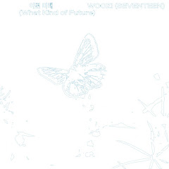 WOOZI（SEVENTEEN） - Topic