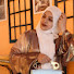 UnF-LF61HmU-channel-avatar-Zufrana Culinary Art cooking and baking classes