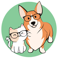 Nikki Pet Nutrition