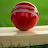 @CricketwithShashank