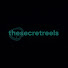 2NjDu2enlQU-channel-avatar-TheSecretReels
