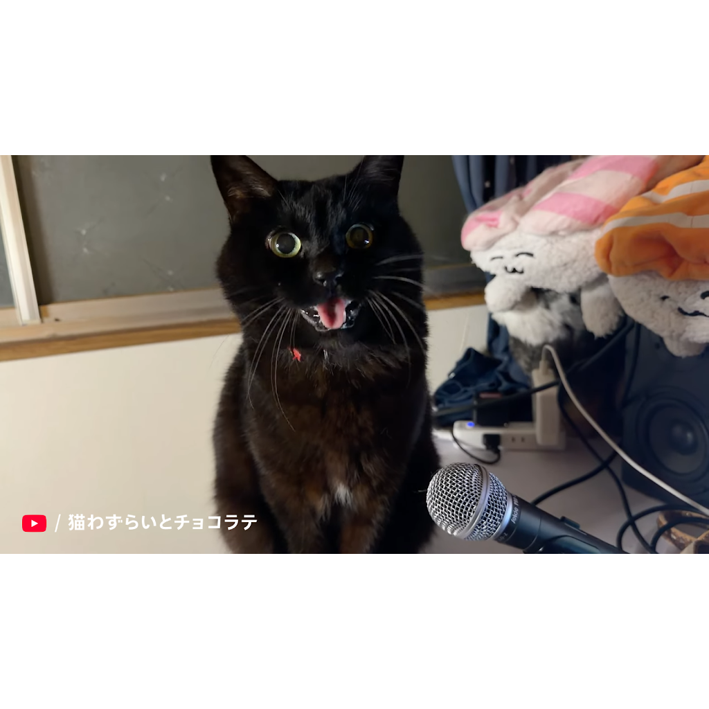 ꫛꫀꪝ✧食べたくなっちゃう王冠のミルク＆いちごチョコレート猫ちゃん'sヘアゴム♥️ YouTube