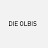 Die Olbis