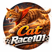 Cat Race101