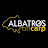 Albatros on carp 