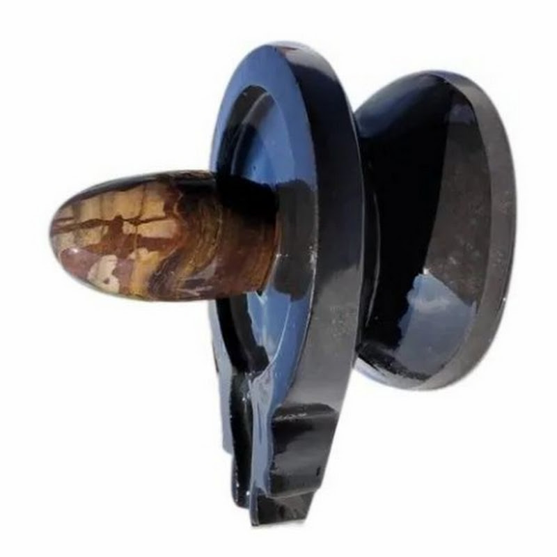 pankaj narmadeshwar shivling art