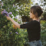 59CKbLBkLR8-channel-avatar-Blackthorn Cottage 