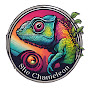 UK Rock Band with Prog Influences - She Chameleon logo