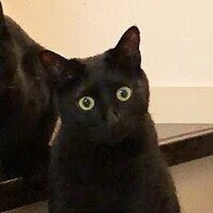 都市伝説チャンネル