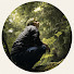 I4ShI1M9AWA-channel-avatar-奥飛騨に遊ぶ Taichi